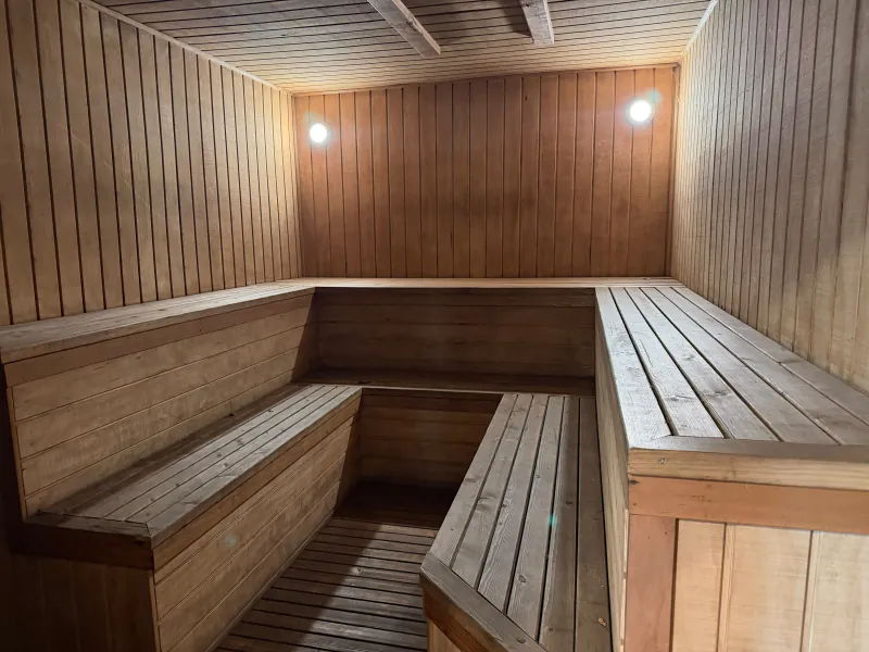 The hot room: two tiers of benches along three walls, wooden walls and ceiling