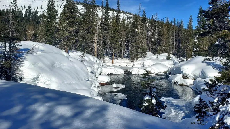 The South Yuba between snow-capped boulders, pines and a snowy ridge under a blue sky