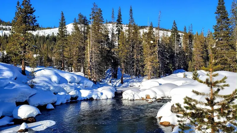 The South Yuba running dark between snow-capped boulders under a blue sky