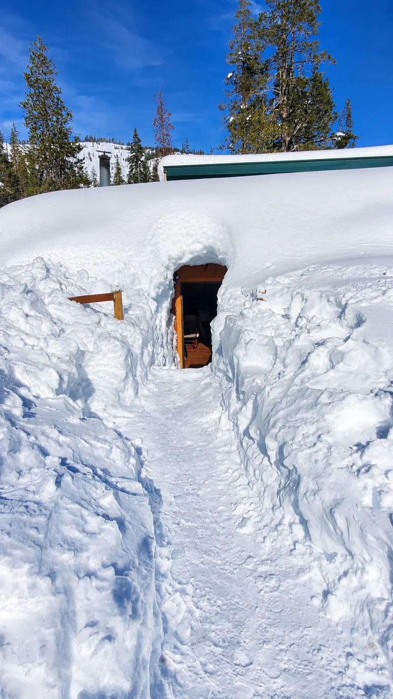 A path dug through snow above head height to the cabin door, blue sky and pines above